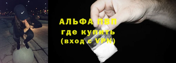 индика Нестеровская