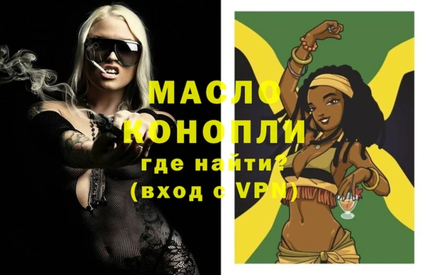 индика Нестеровская