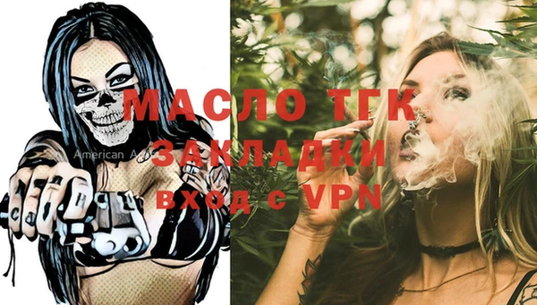 индика Нестеровская